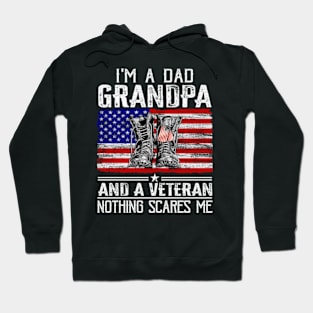 I'm A Dad Grandpa And A Veteran Nothing Scares Me Hoodie